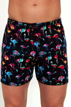 Шорты-семейки мужские CORNET CLASSIC WIOSNA 2023 3-5XL CL  3XL, 4XL, 5XL Шорты-семейки мужские CORNET CLASSIC WIOSNA 2023 3-5XL CL  3XL, 4XL, 5XL